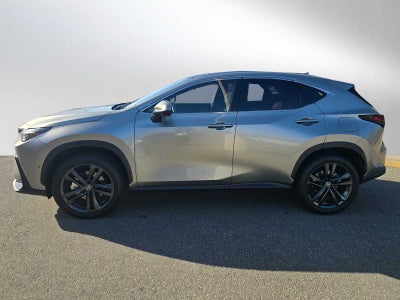 2025 Lexus NX Luxury