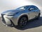 2025 Lexus NX Luxury