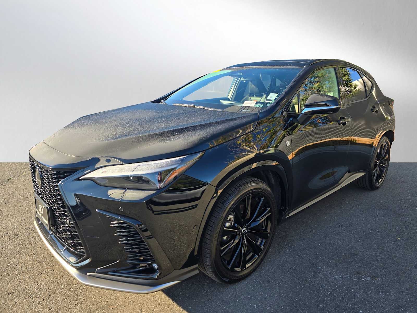 2025 Lexus NX 450h PLUS F SPORT HANDLING AWD
