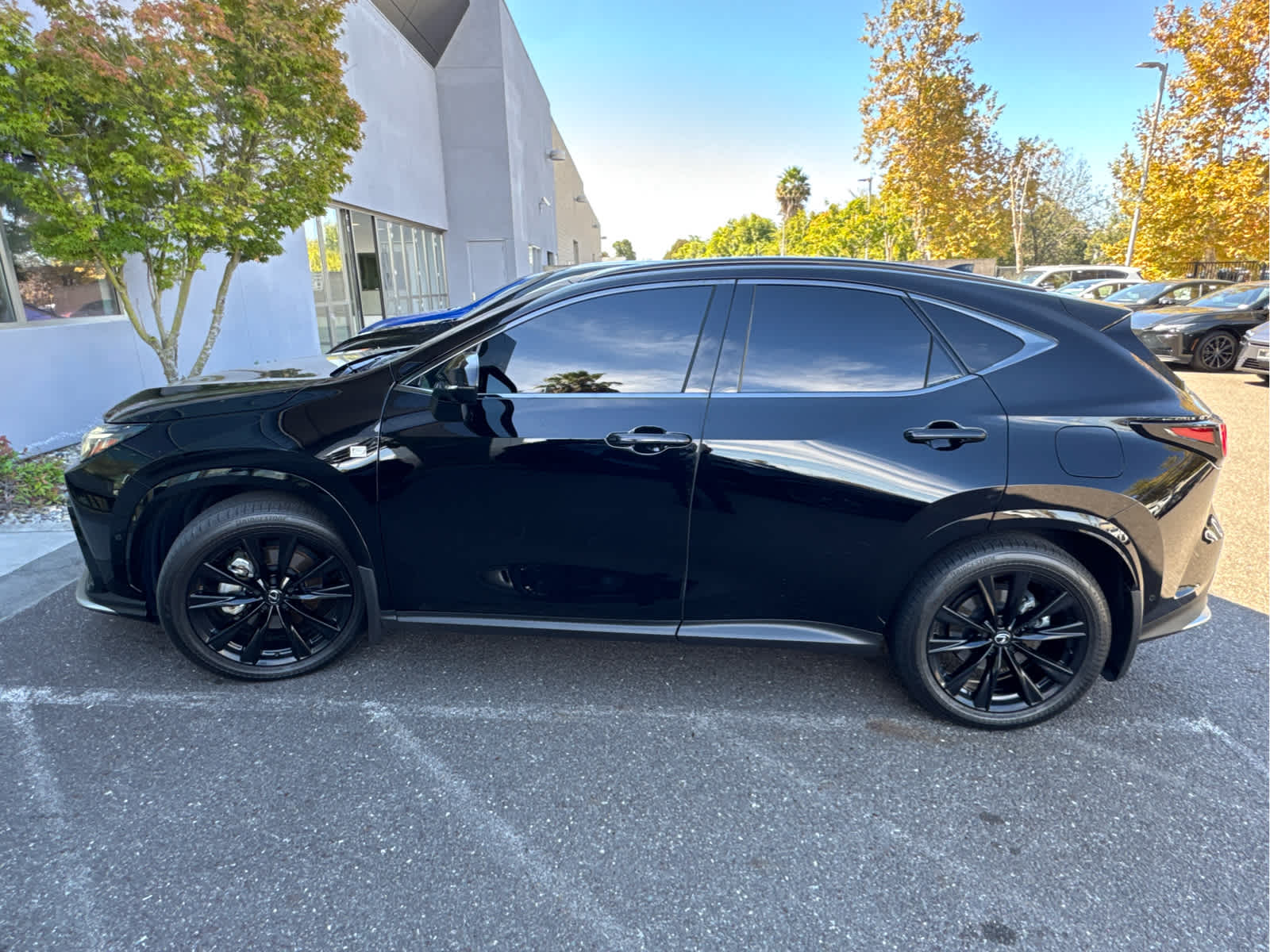 2025 Lexus NX 450h PLUS F SPORT Handling