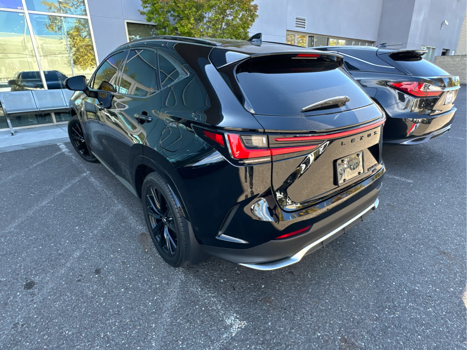 2025 Lexus NX 450h PLUS F SPORT Handling