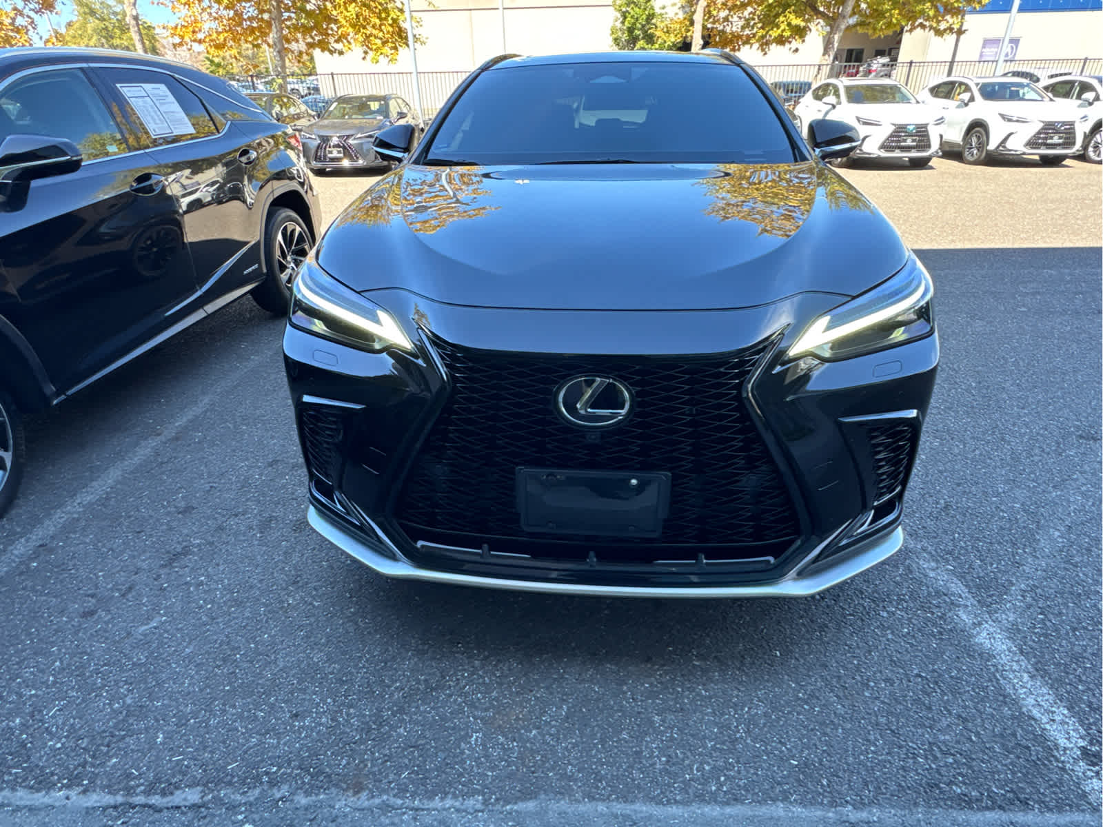 2025 Lexus NX 450h PLUS F SPORT Handling