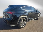 2020 Lexus NX F SPORT