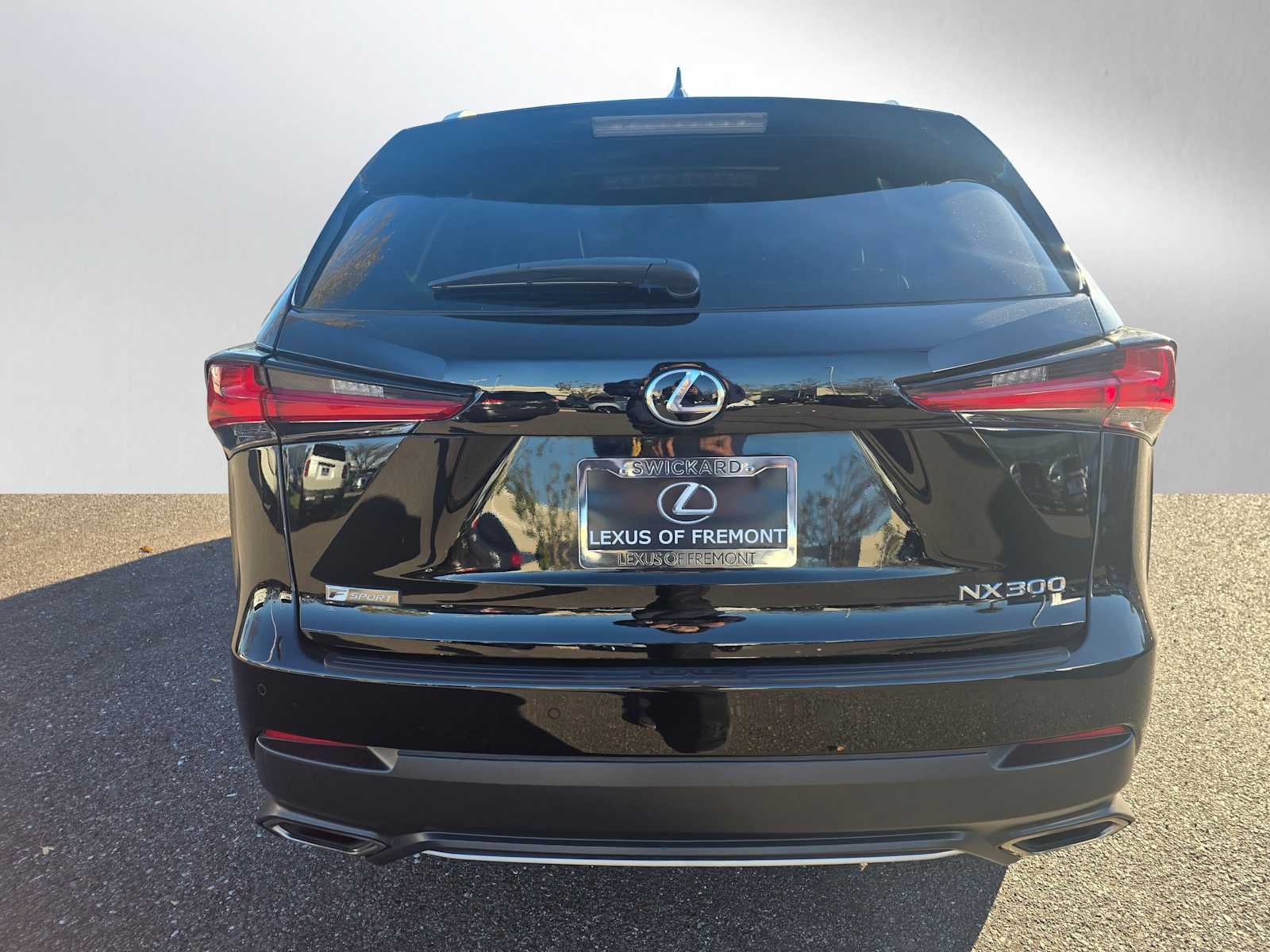 2020 Lexus NX F SPORT