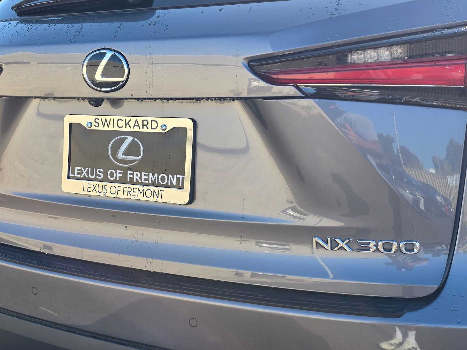 2018 Lexus NX 300 NX 300 F Sport