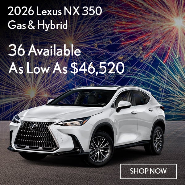 NX