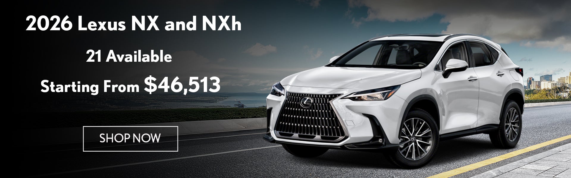 NX