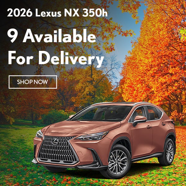 NX